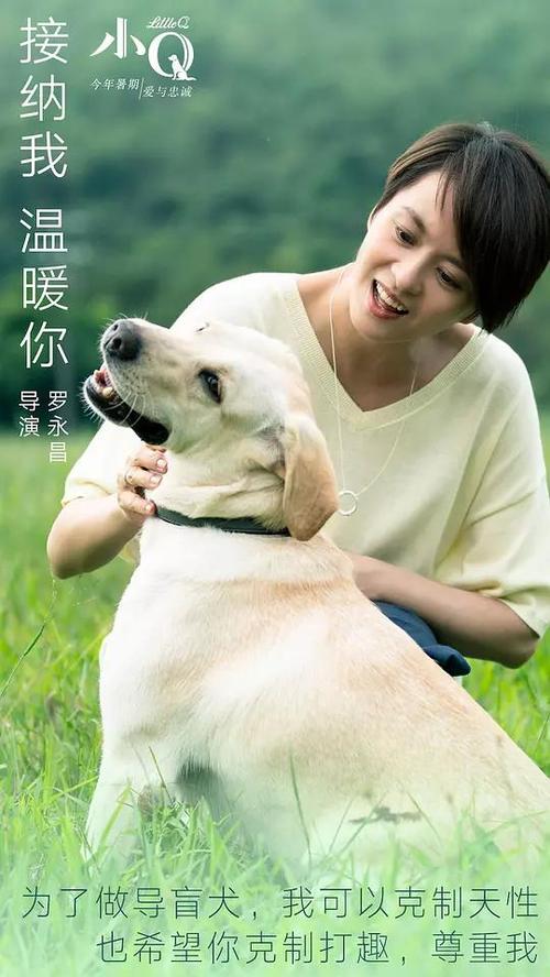 武蔵大学ElectronicEngineeringDegreeCertificate